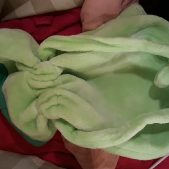 Backpack - Picture 4 of 6